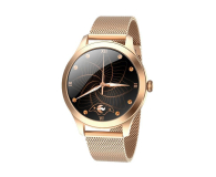 Maxcom FW42 złoty - 1154688 - zdjęcie 1